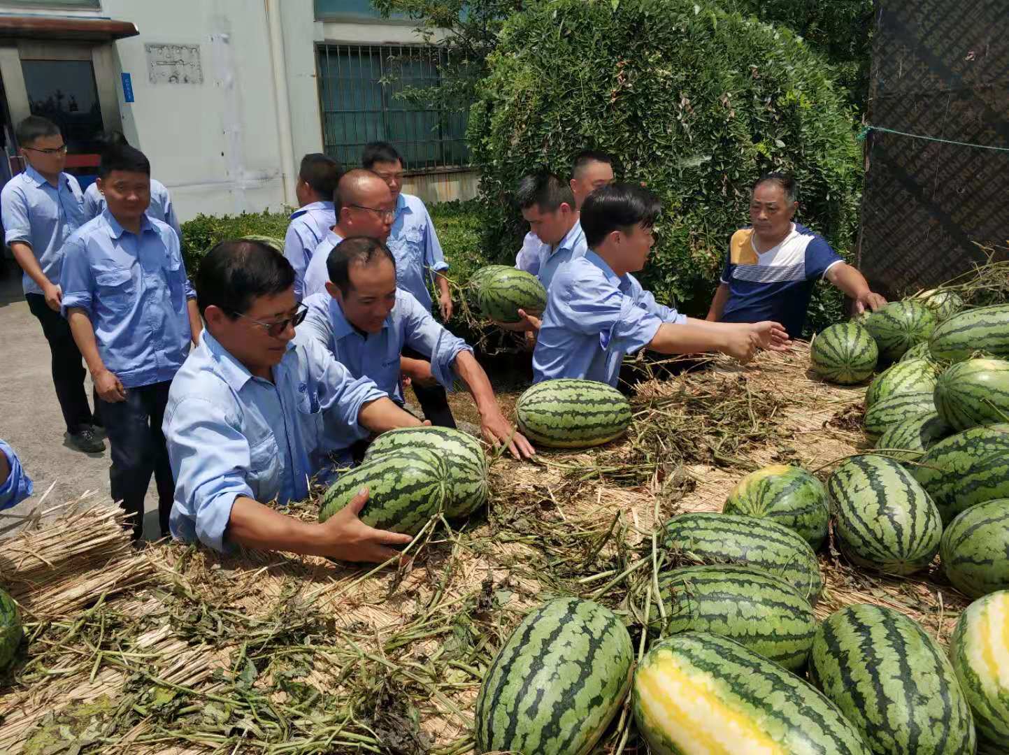 第44頁_新聞中心_蕪湖造船廠有限公司